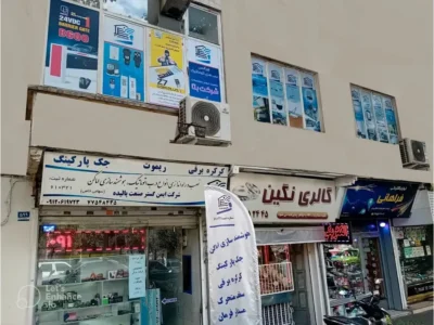 ایمن گستر پالیده